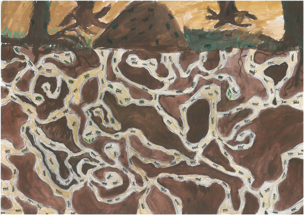 N.Květoňová- zvláštní ocenění.jpg