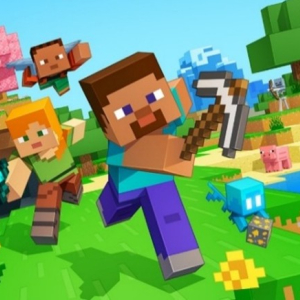 Minecraft - přihlášení dívky